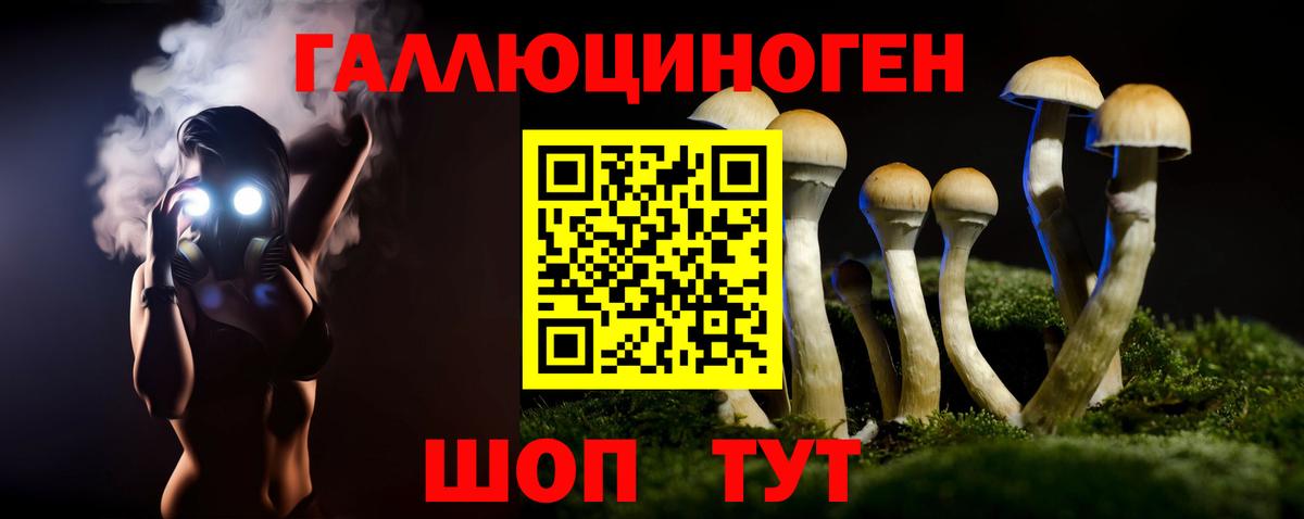 где купить наркоту  Вход с VPN  Псилоцибиновые грибы мухоморы  Сургут  Псилоцибиновые грибы прущие грибы 